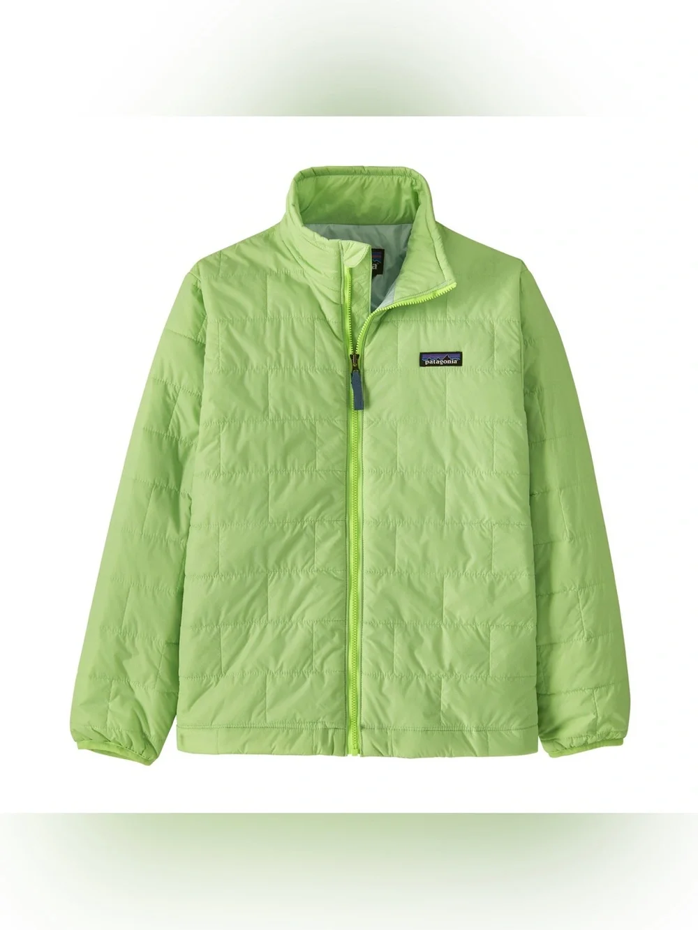 Patagonia Kids Nano Puff Brick Quilted Jacket, Salamander Green, Size XL (14)